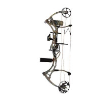 Лук блочный Bear Archery Domain RTH