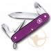 Нож перочинный Victorinox Pioneer Alox LE16 (0.8201.L16)