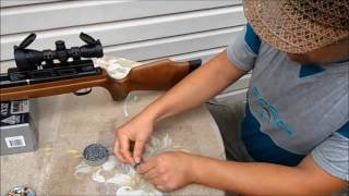 Обзор пневматической винтовки Hatsan AT44-10 Wood PCP Часть 2